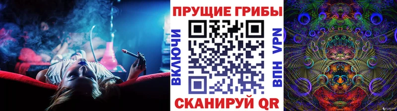 МЕГА ТОР  Нерчинск  Псилоцибиновые грибы Cubensis  закладка 